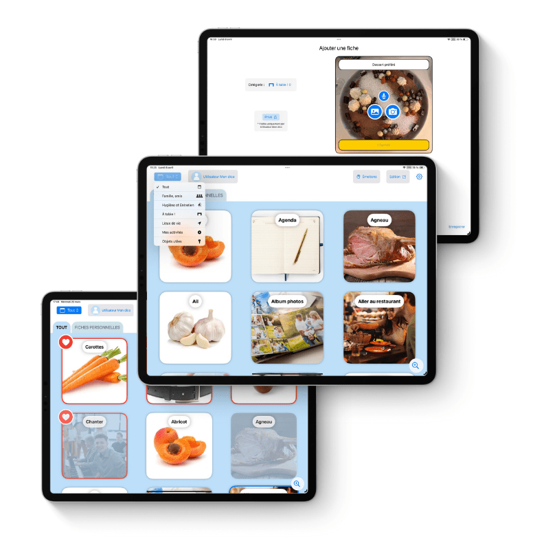 Interface MON DICO : personnalisation des contenus en français