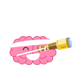 brain-vision-spatial perception cognitive functions brain-vision-spatial perception cognitive functions