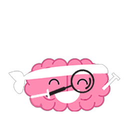 cerveau-gnosies visuelles fonctions cognitives cerveau-gnosies visuelles fonctions cognitives
