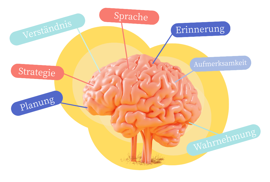 DYNSEO Gehirn mit Stimulationszonen