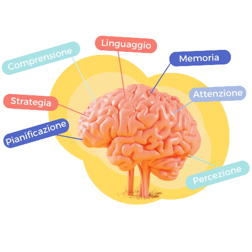 Cervello DYNSEO con zone di stimolazione